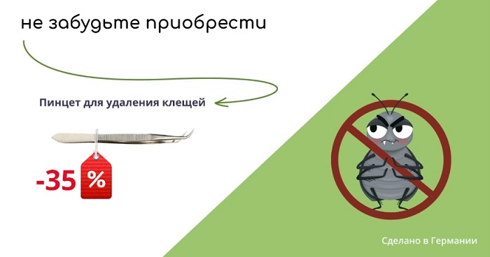 Как удалить клеща качественно и безболезненно Как удалить клеща качественно и безболезненно